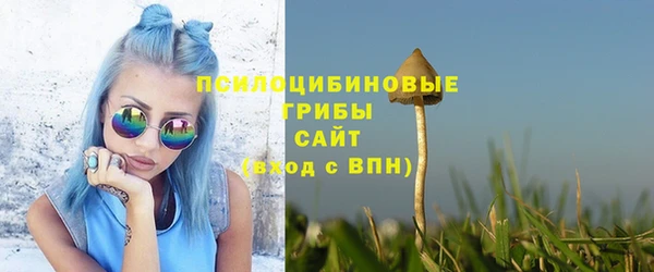 амф Володарск