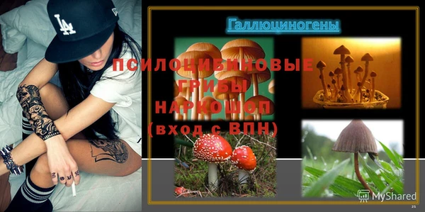 spice Волоколамск